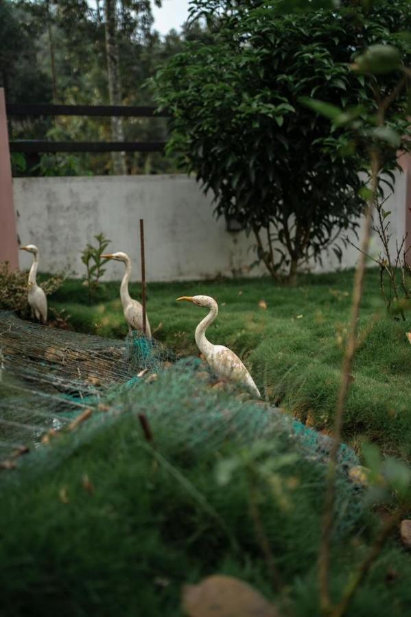 Vythiri Villas Wayanad Kültér fotó