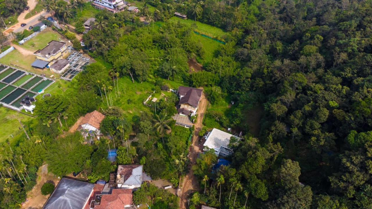Vythiri Villas Wayanad Kültér fotó