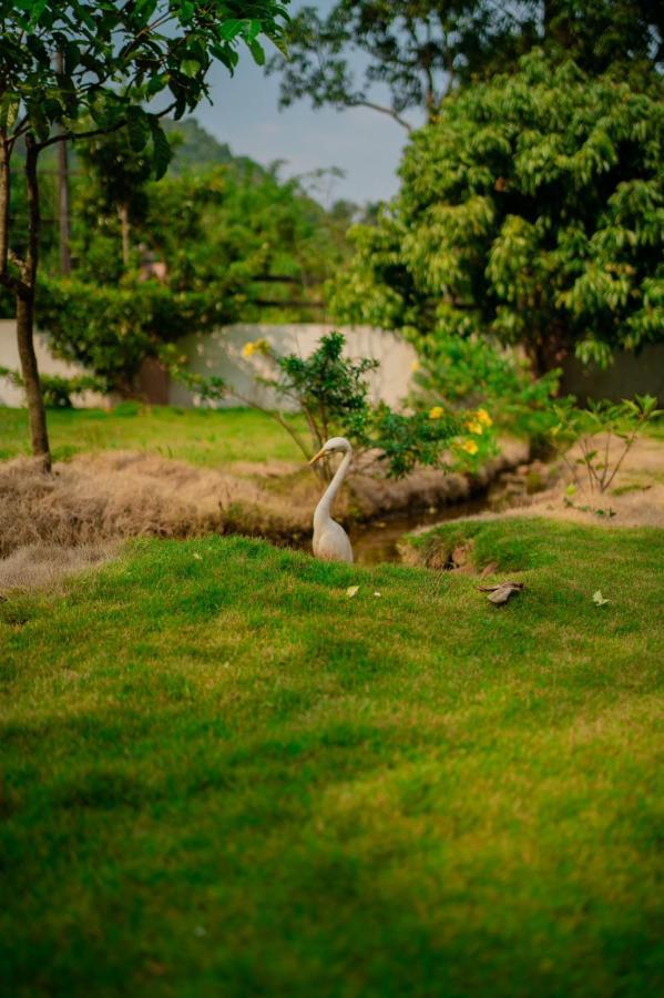 Vythiri Villas Wayanad Kültér fotó